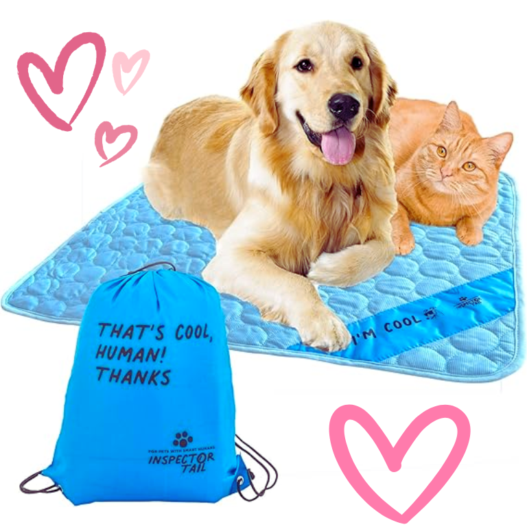 Chill Out: Review of the Pet Cooling Pad for Dogs & Cats