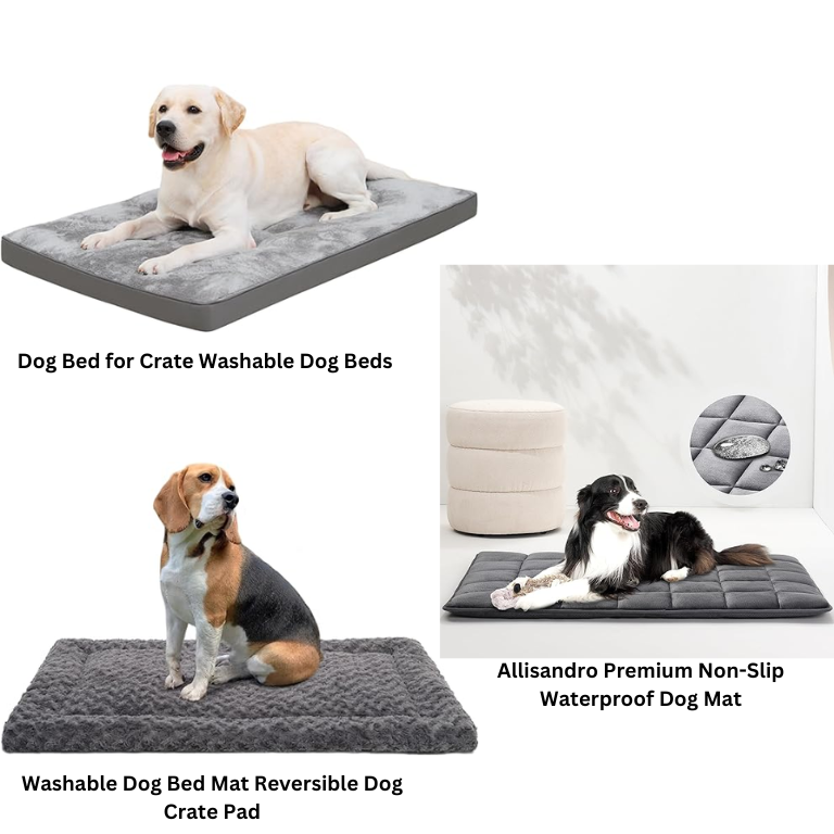 Best dog mats