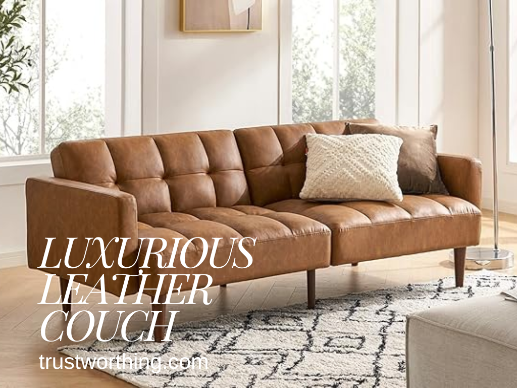 luxurious leather couch